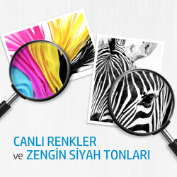 HP 774 DesignJet Fotoğraf Siyahı/Açık Gri Baskı Kafası P2W00A - Thumbnail